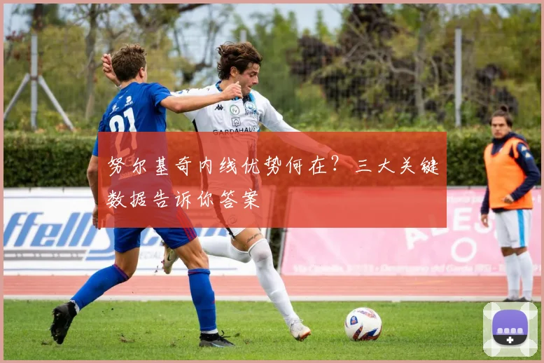 努尔基奇内线优势何在？三大关键数据告诉你答案