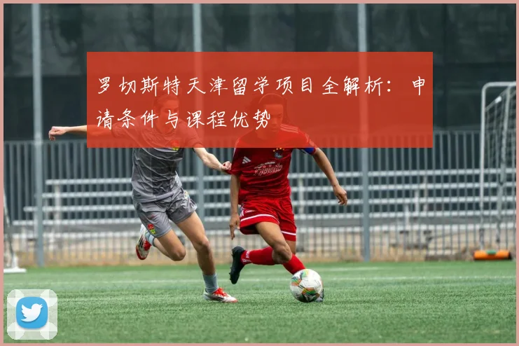 罗切斯特天津留学项目全解析：申请条件与课程优势